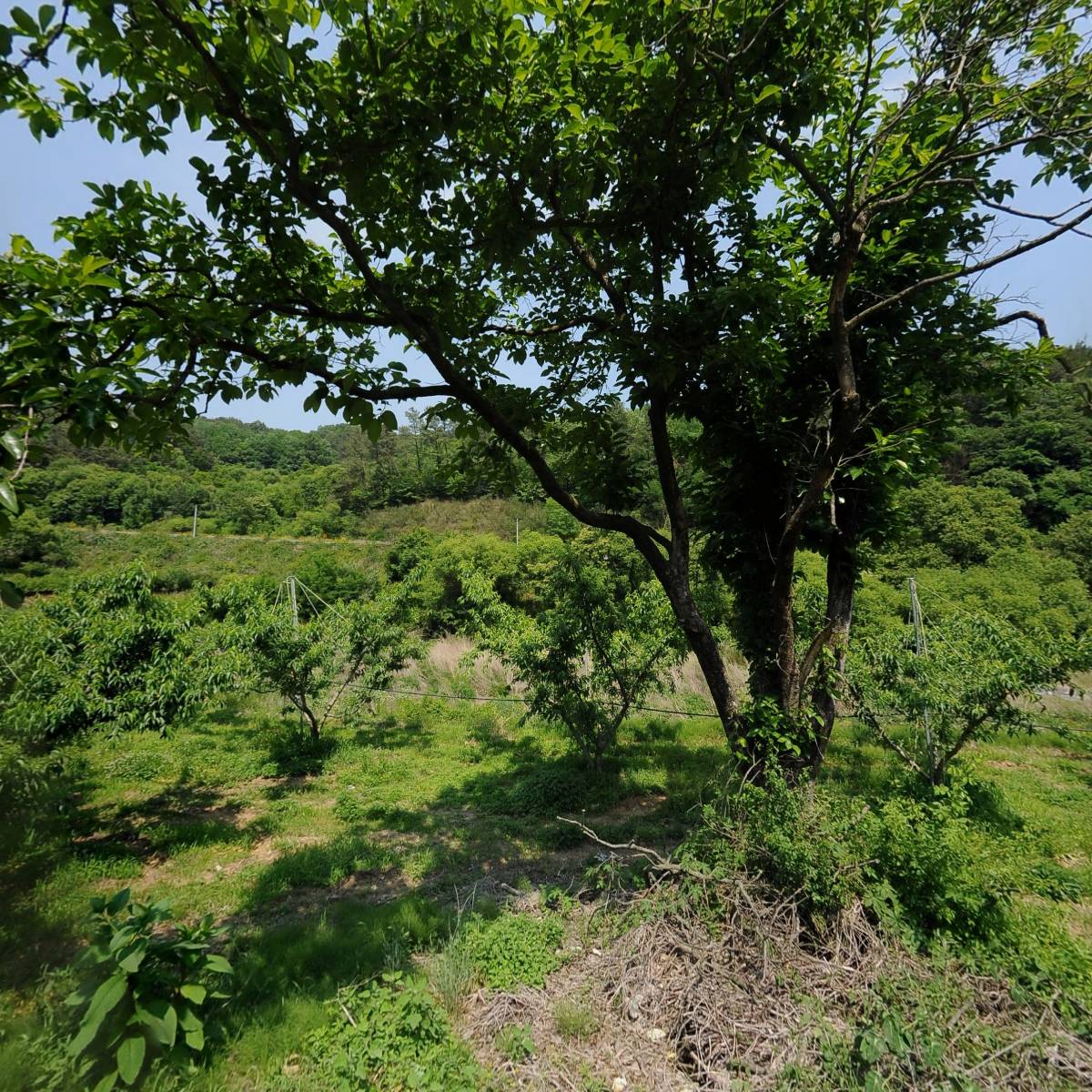 수정자연농원_3