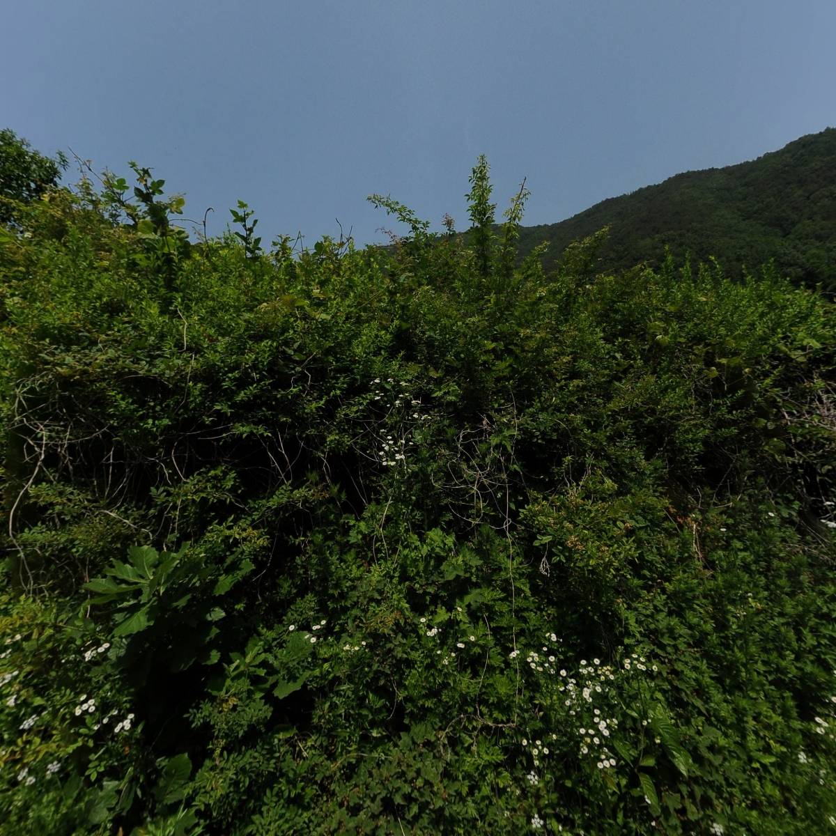농업회사법인 주식회사 동행