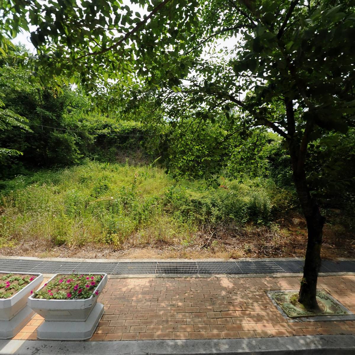 한수 내수면 자율관리어업 공동체