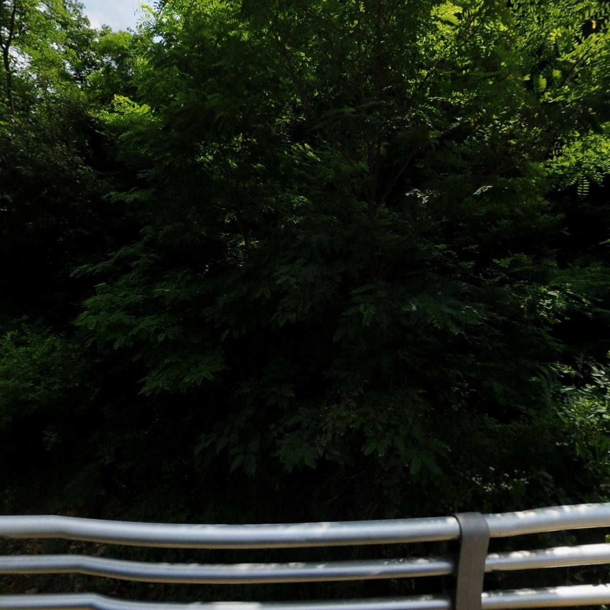 금화엔지니어링(주)