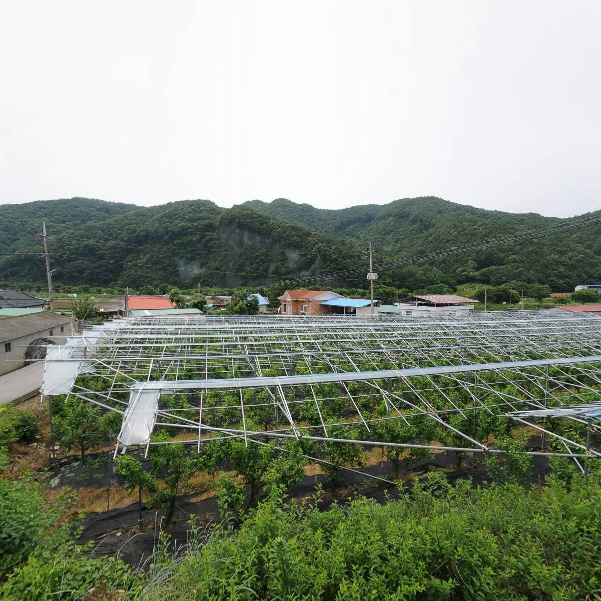 (주)보은짚풀공예농업회사법인_3