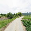 제천엽연초신용협동조합_2