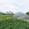제천엽연초신용협동조합_3