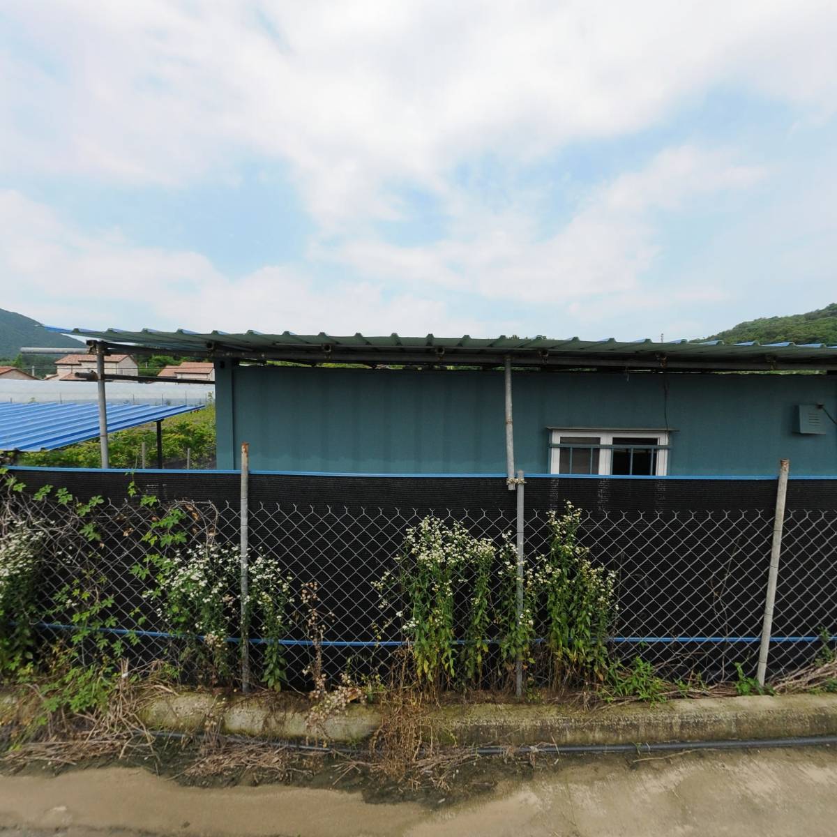 충북옥천동이세산905