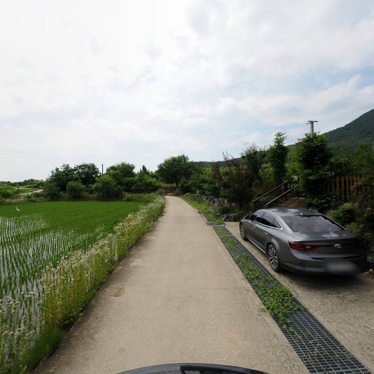 옥천향수길야생화연구회_2