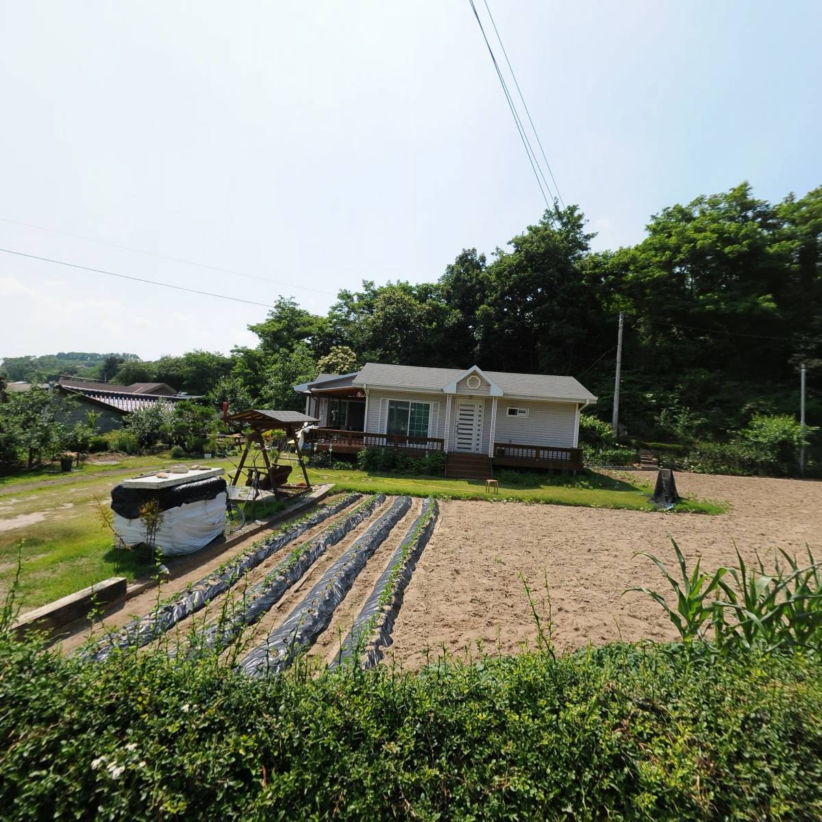 트리피_3