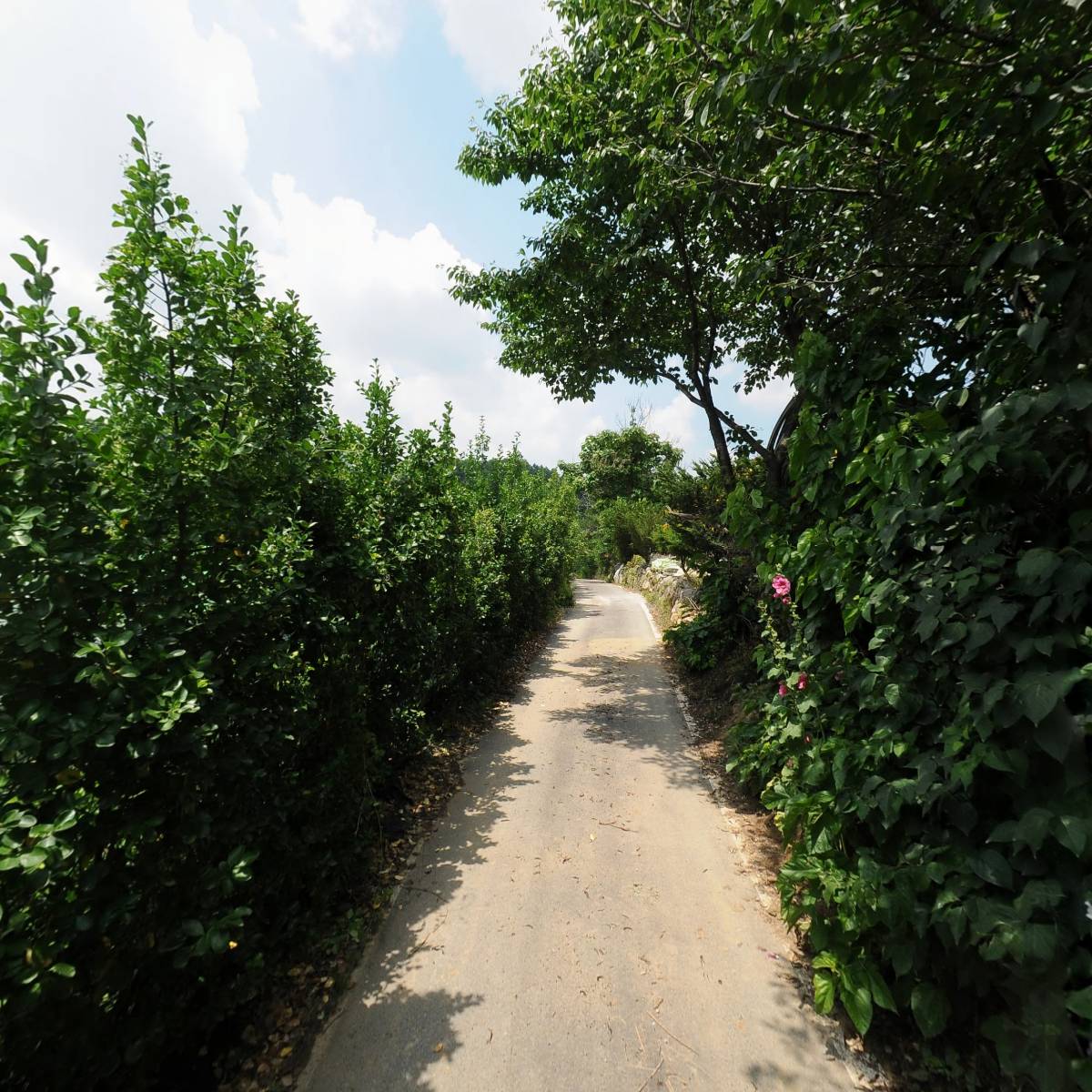 명성발효세상_2