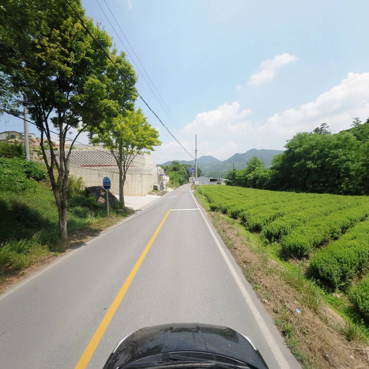 제일생약_4