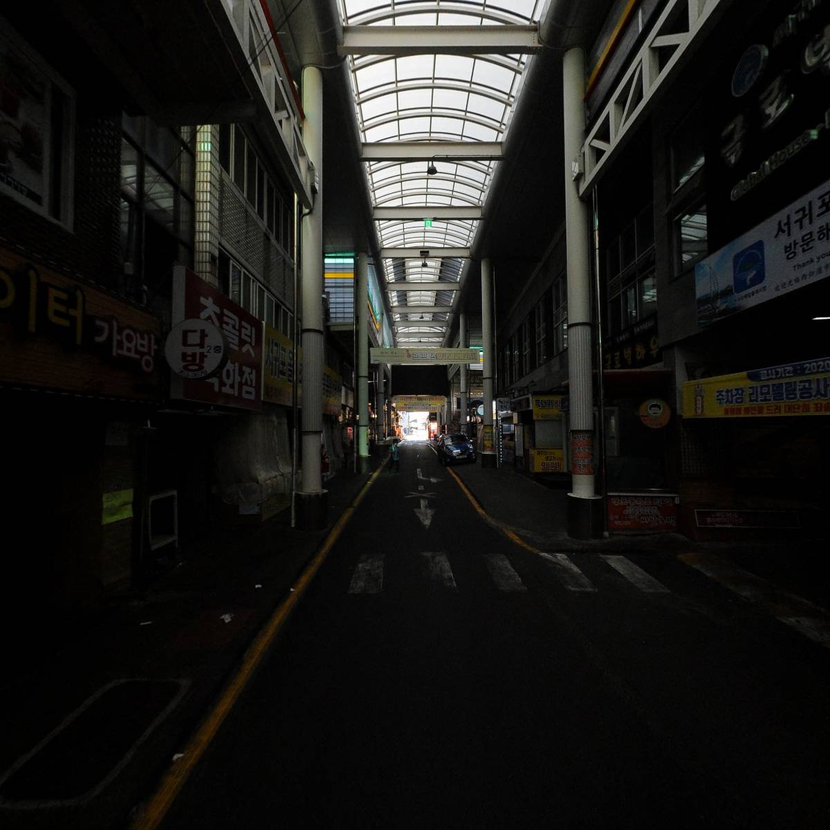 비테비테_2