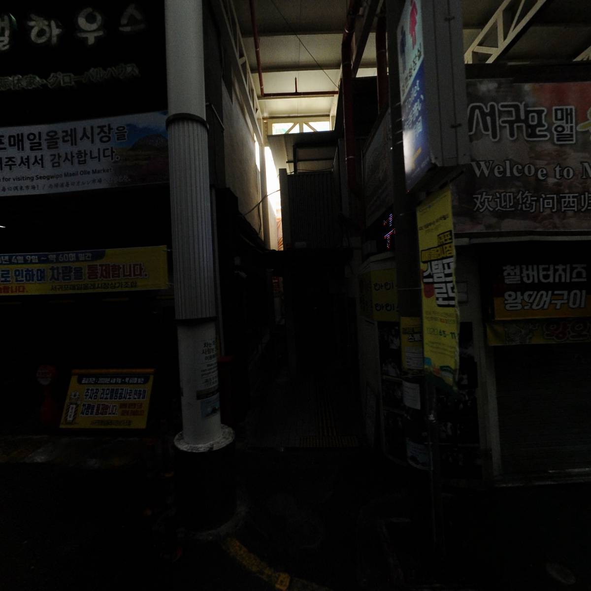비테비테_3