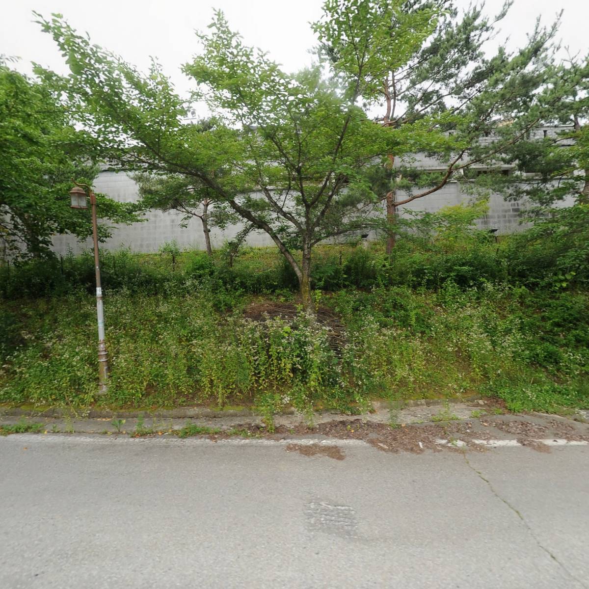 청풍골_3