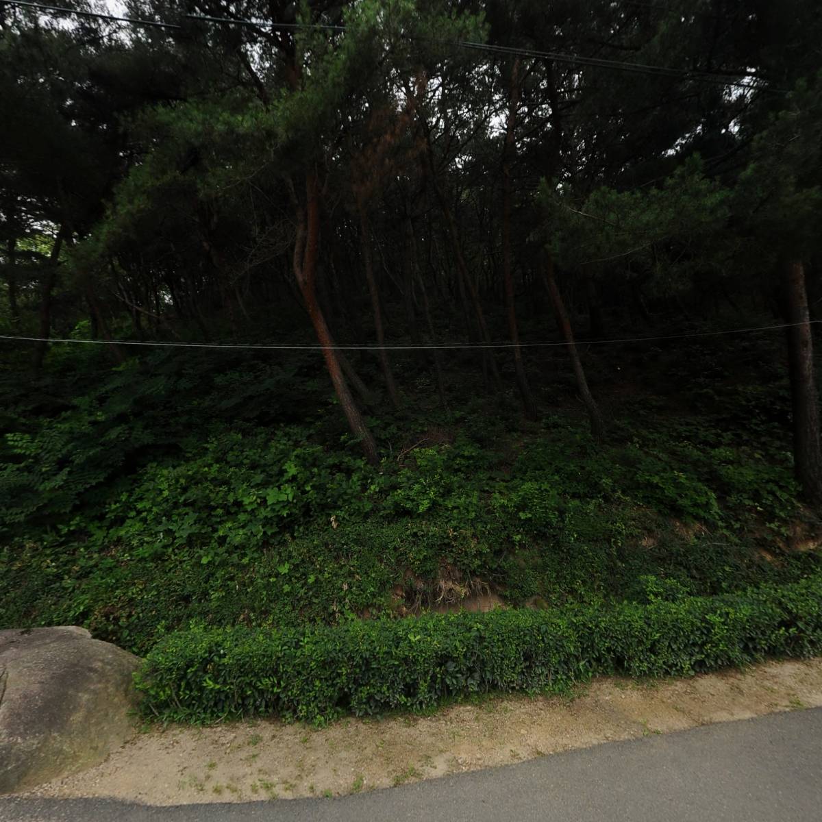 (주)위드포엠