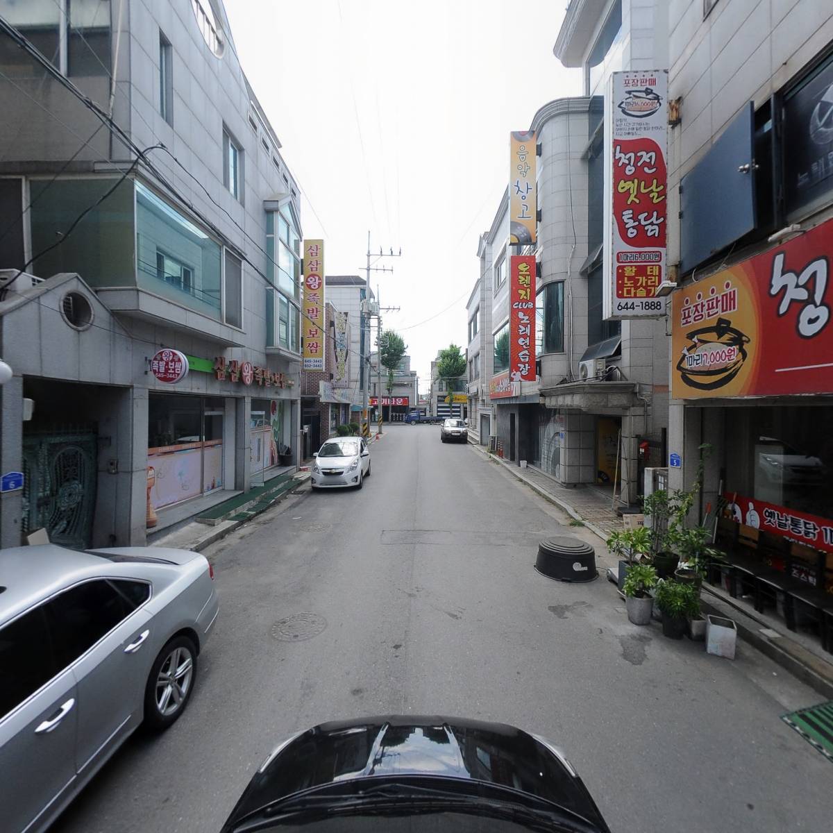 현대동물병원_4