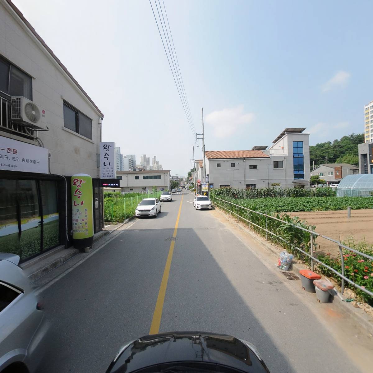 왕수니_4