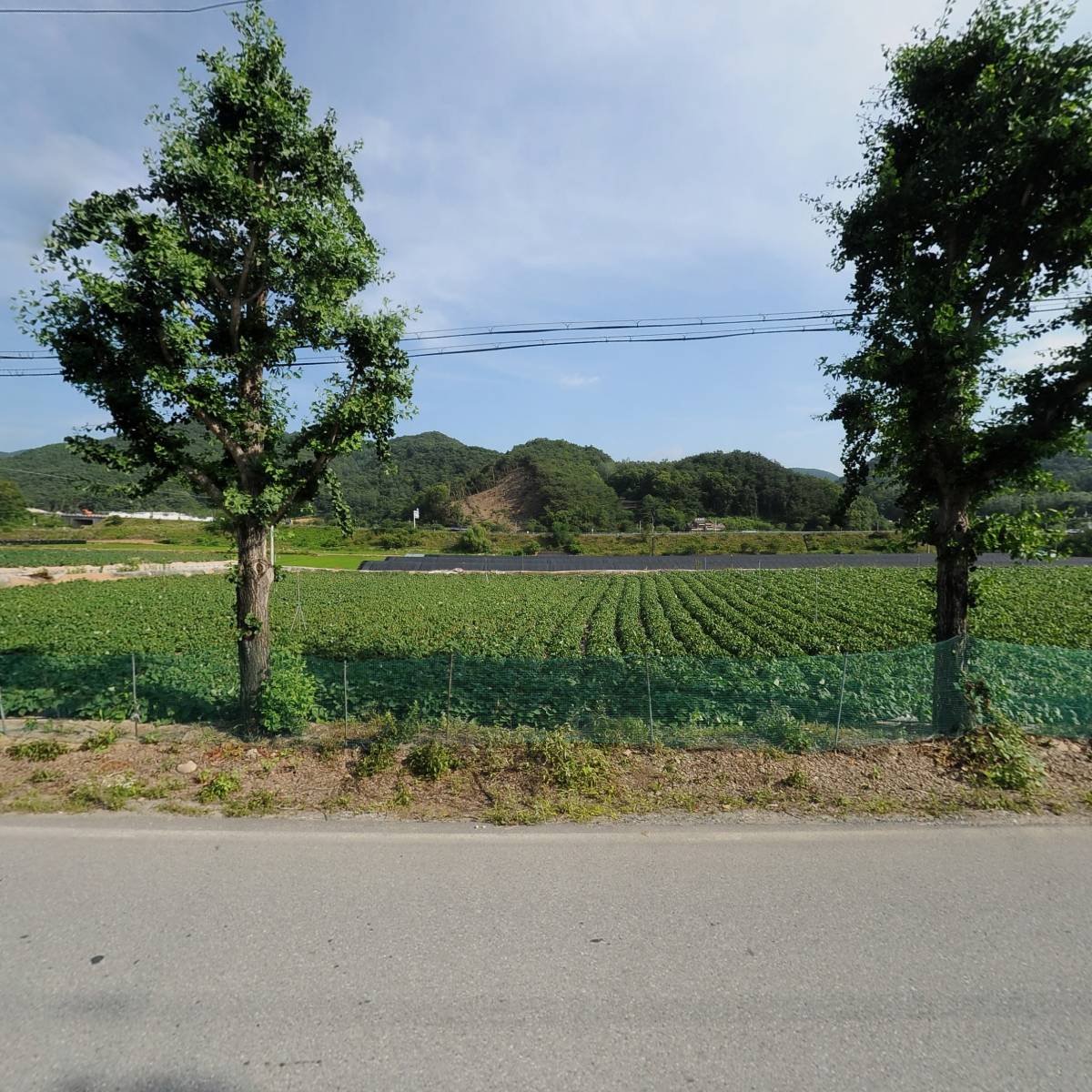 가하푸드 영농조합법인_3