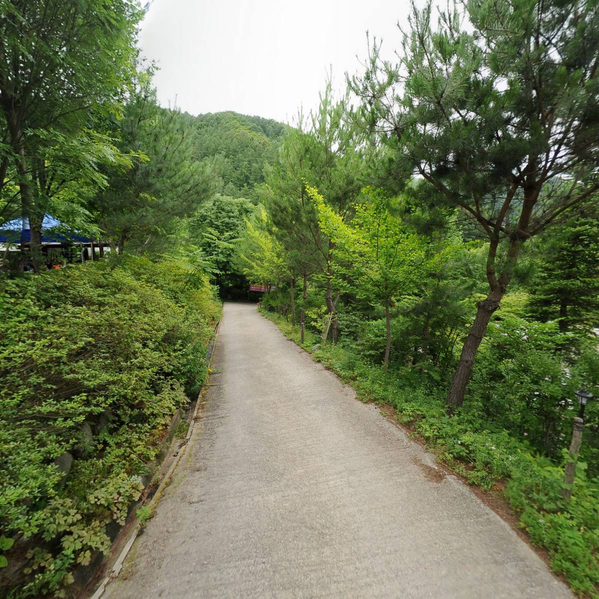 춘천알프스벨리지암영농조합법인_2