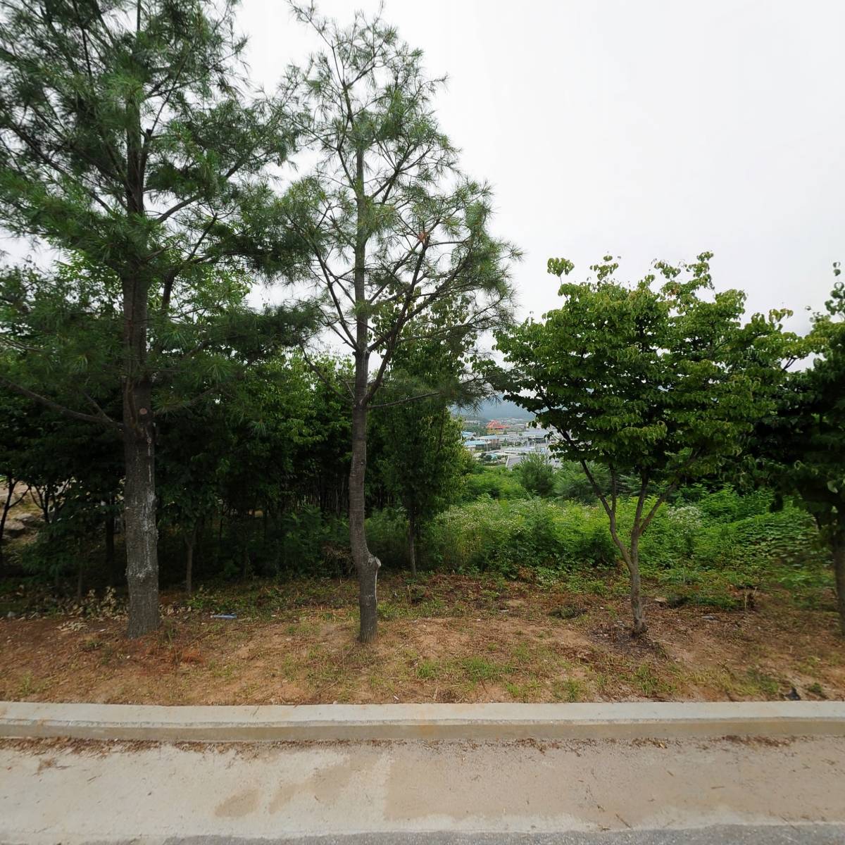 진성종합건설(주)