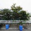 (주)코스엠