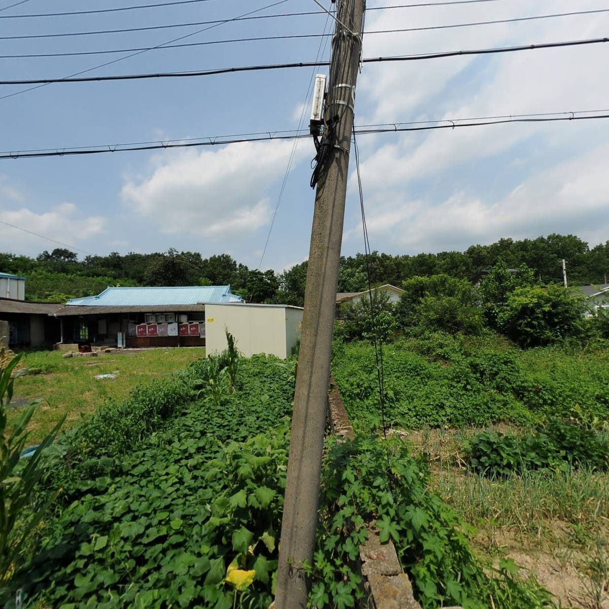 주식회사 성암