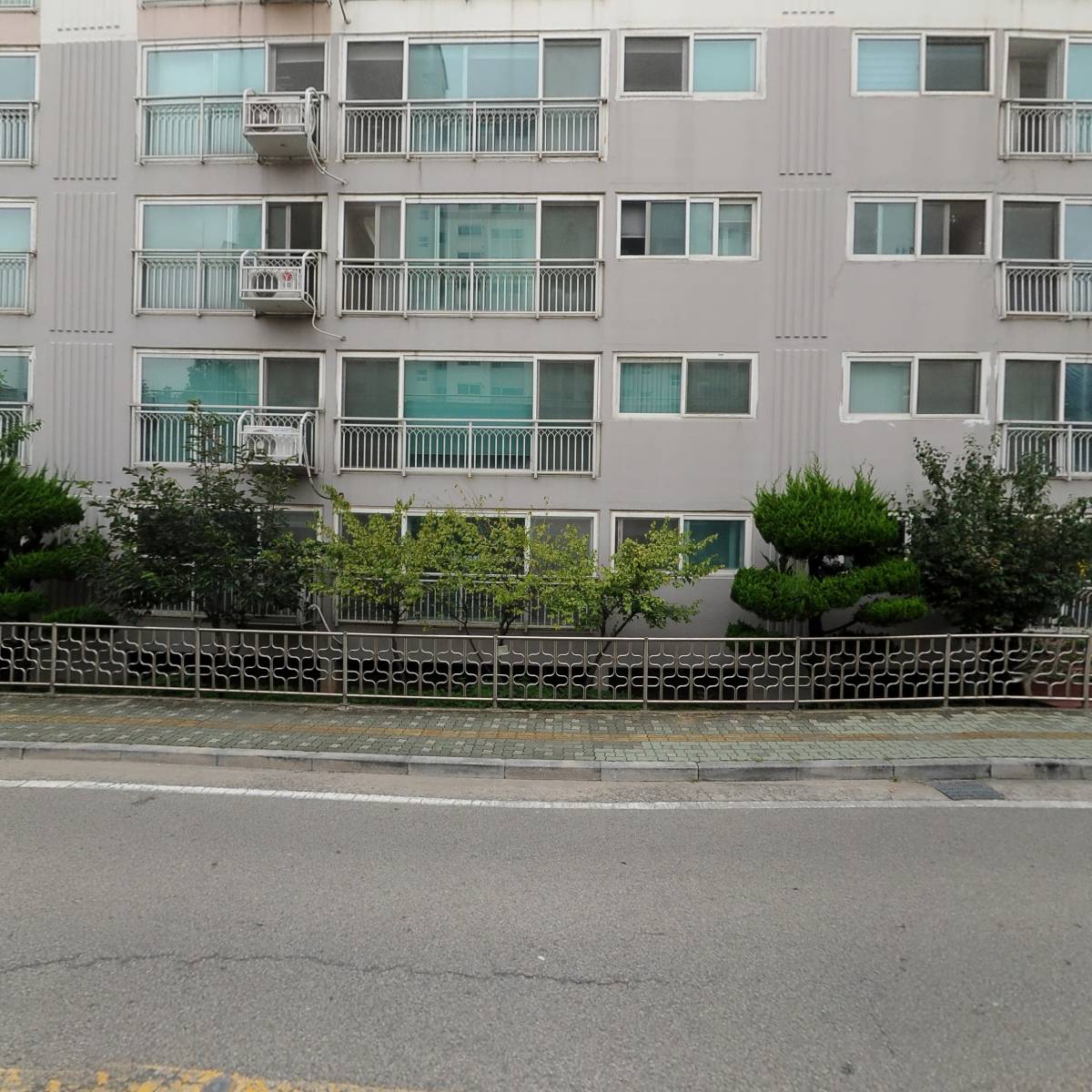 티올라(Tiolla)_3