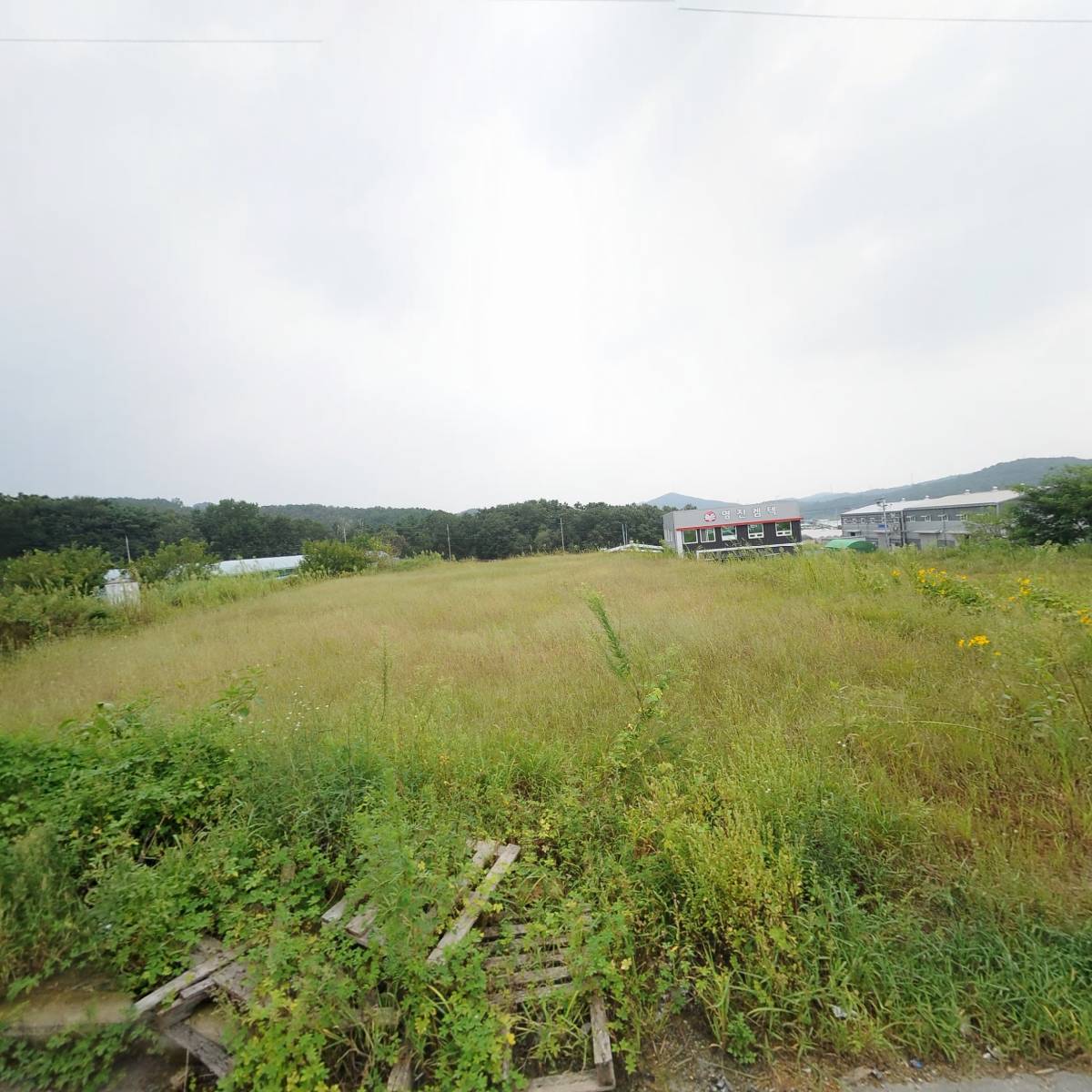 선미 주식회사