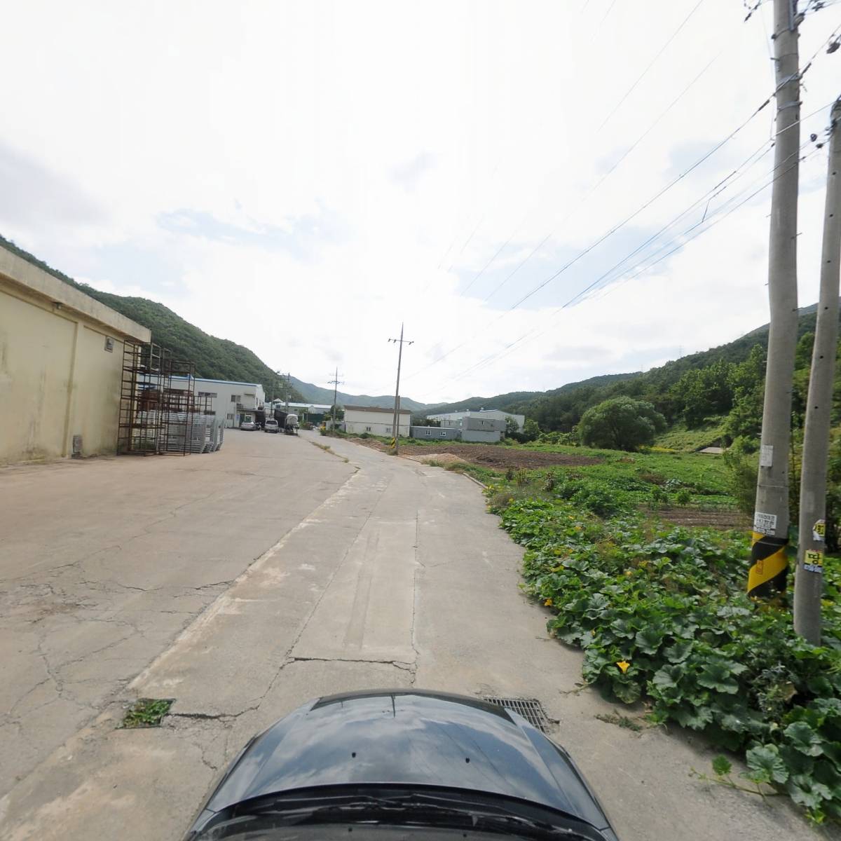 농업회사법인금성농산(주)_4