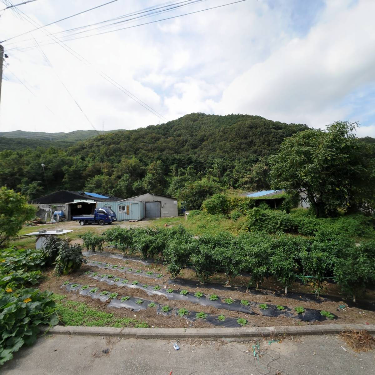 농업회사법인금성농산(주)