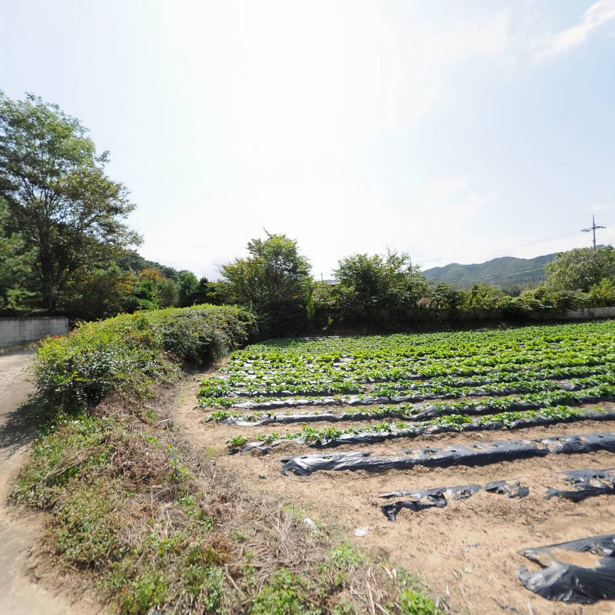 주식회사백운조경