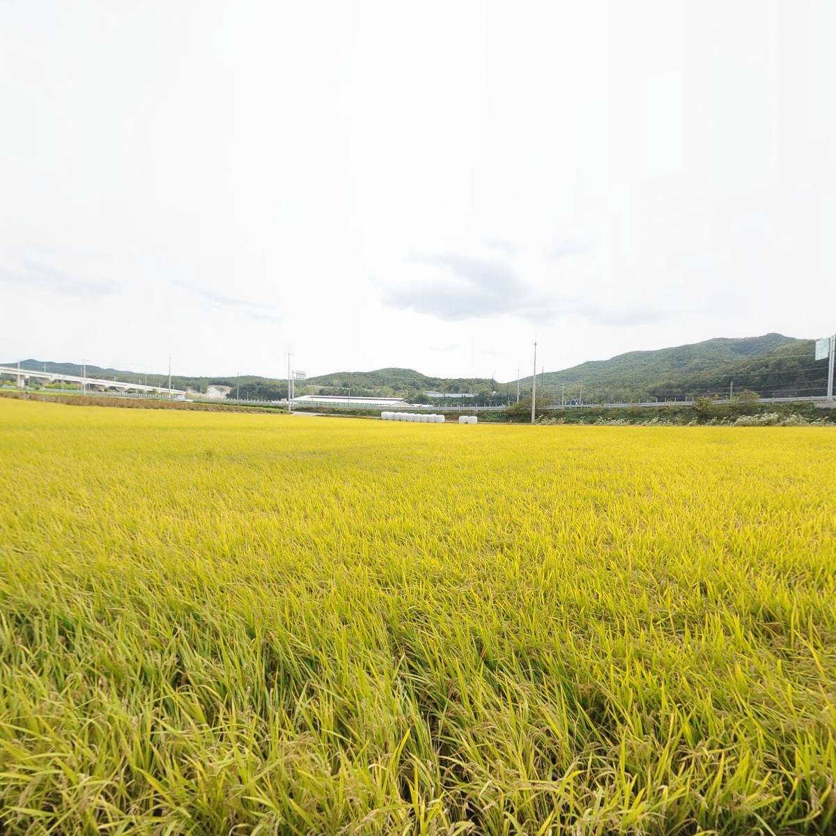 복있는마을Boksfarm