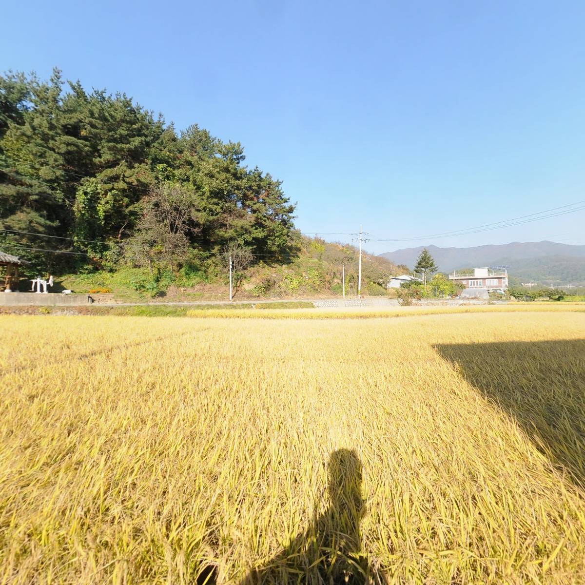 풍기진생영농조합법인