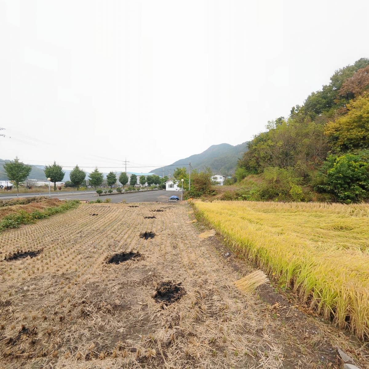 보경산업주식회사_3