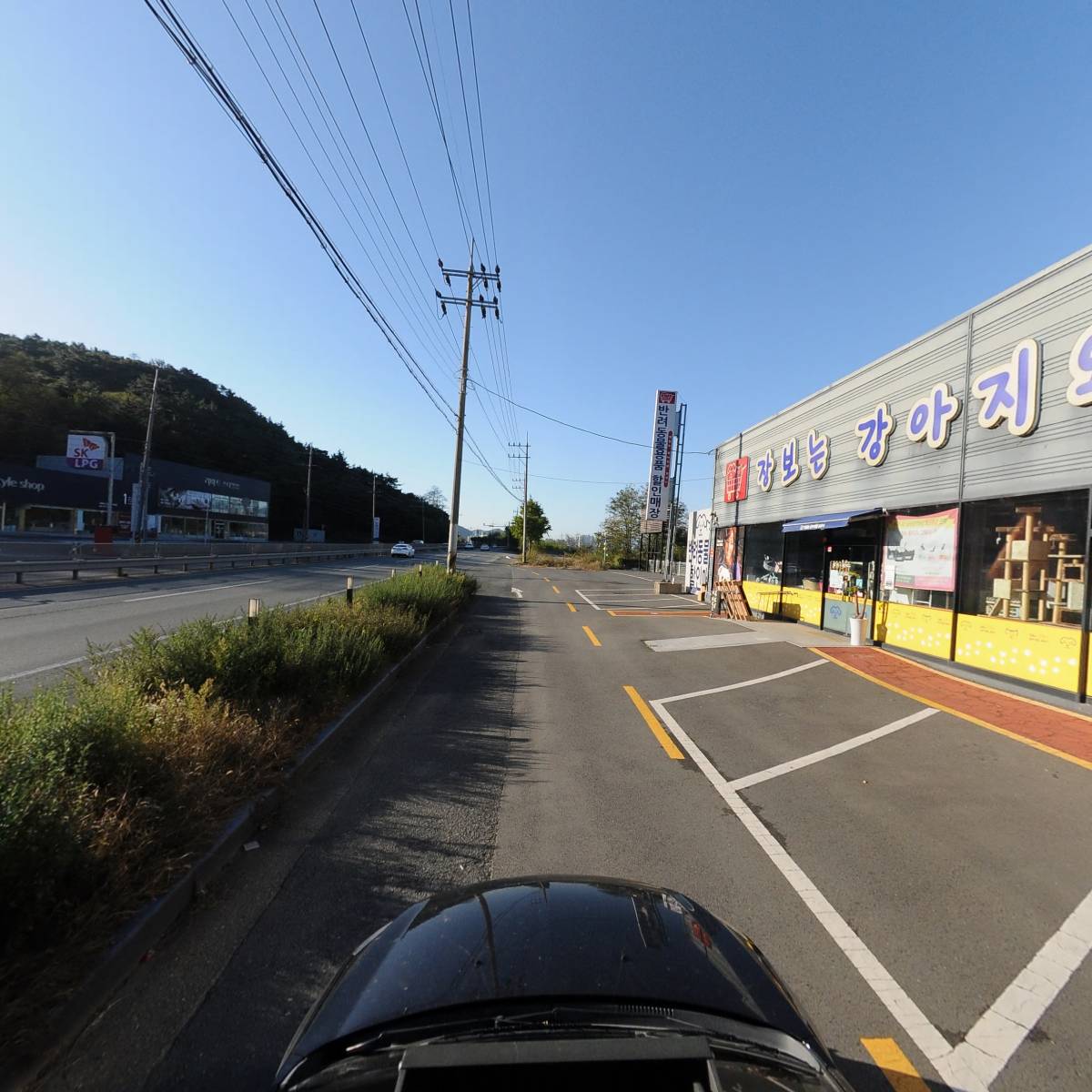 플리츠코라_4