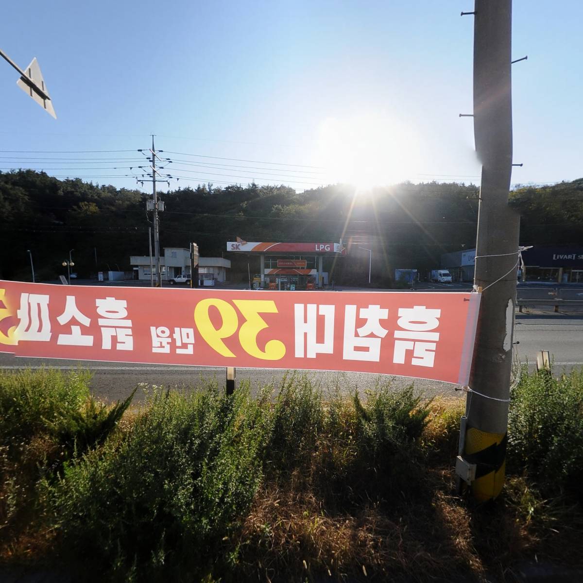 플리츠코라_3
