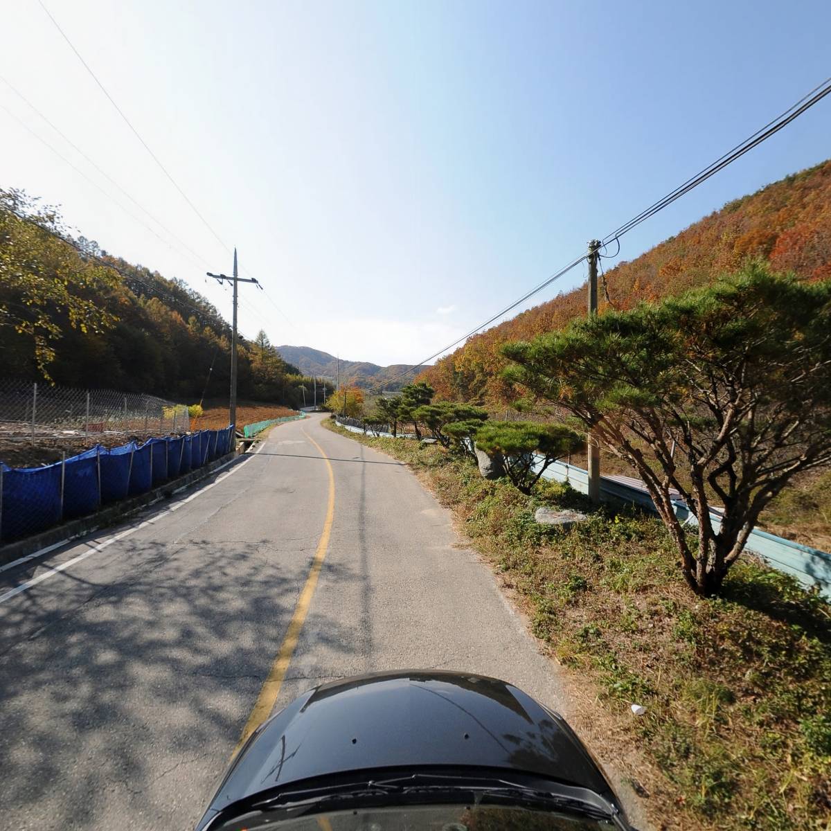 청송백자토종닭농장_4
