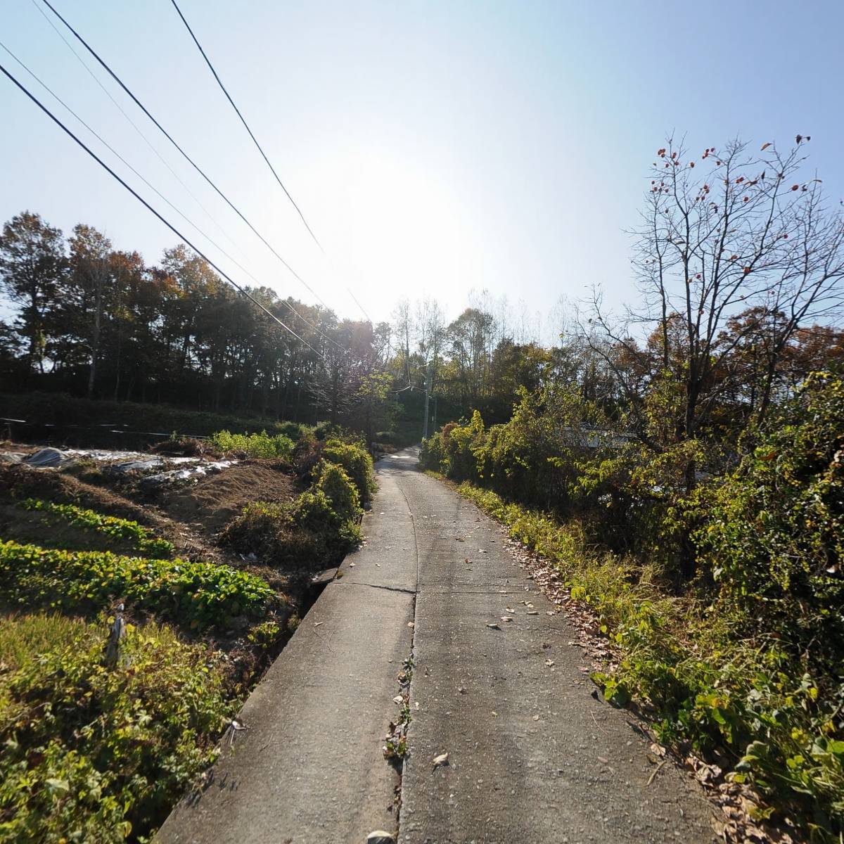 용궁중학교_2