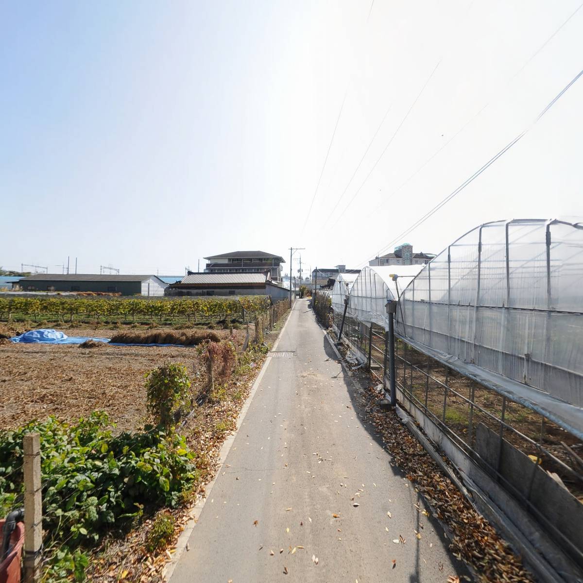(주)멕시카나(영천지점)_2