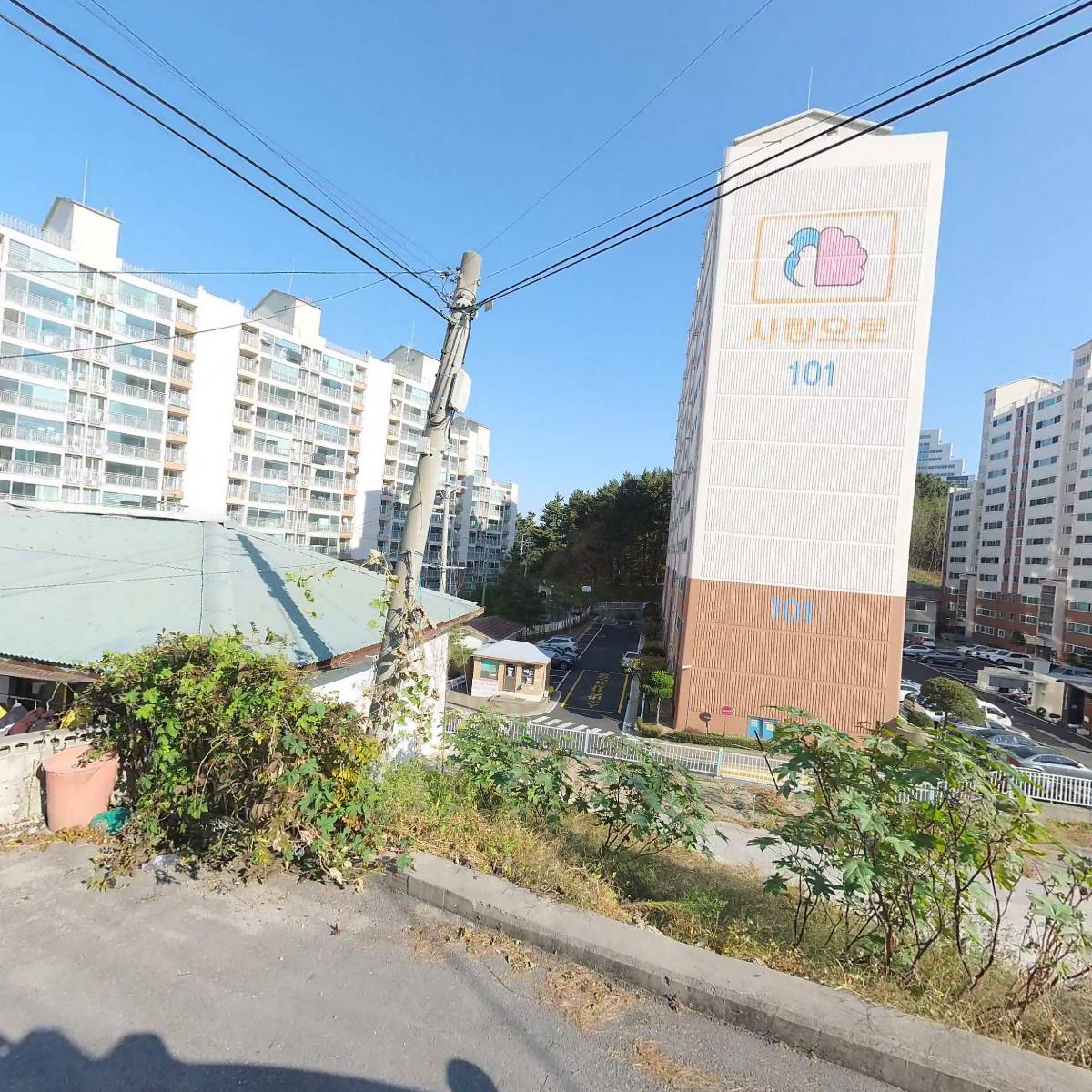 강릉김씨부전공방현파소종중_3