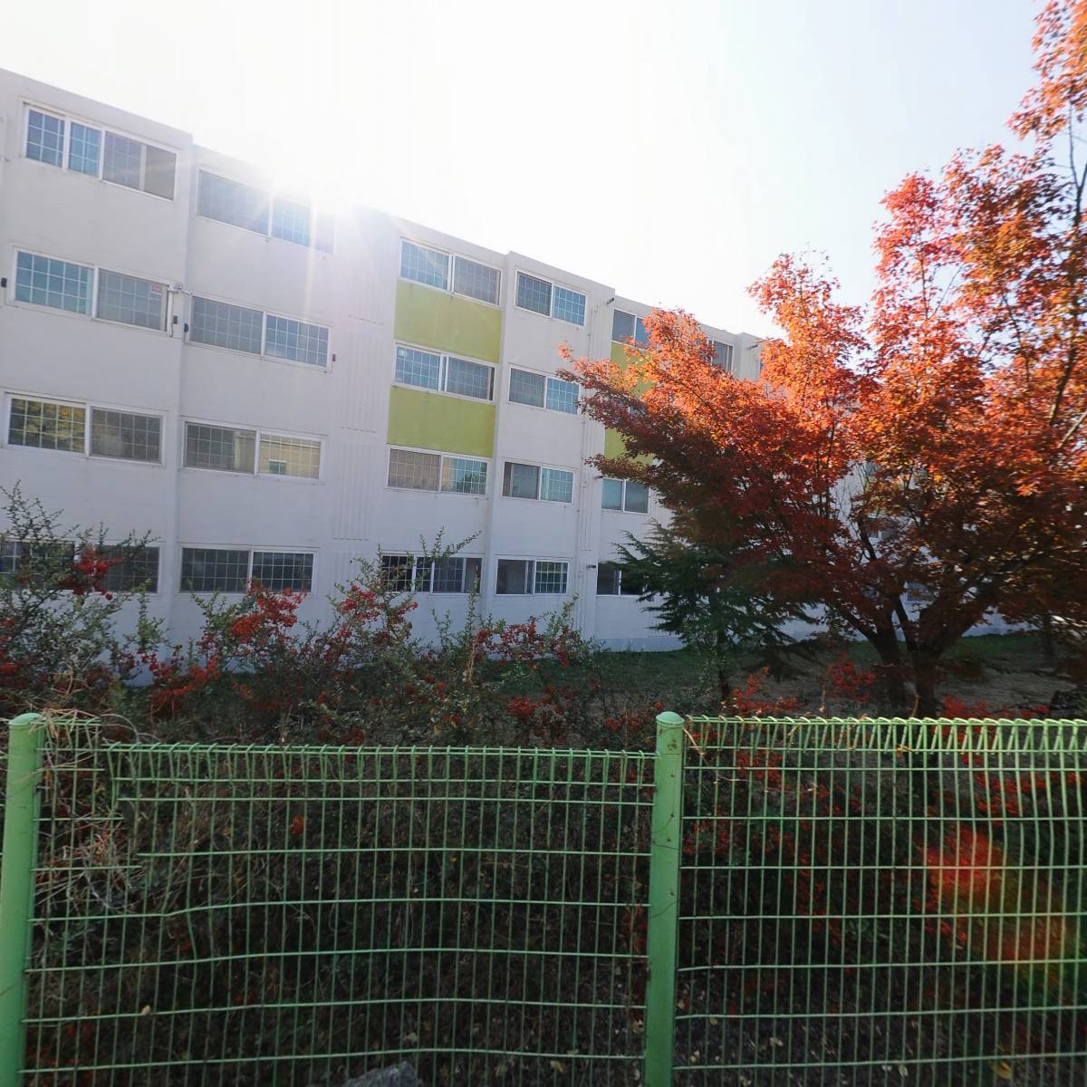 한국영화인총연합회 창녕지부_3