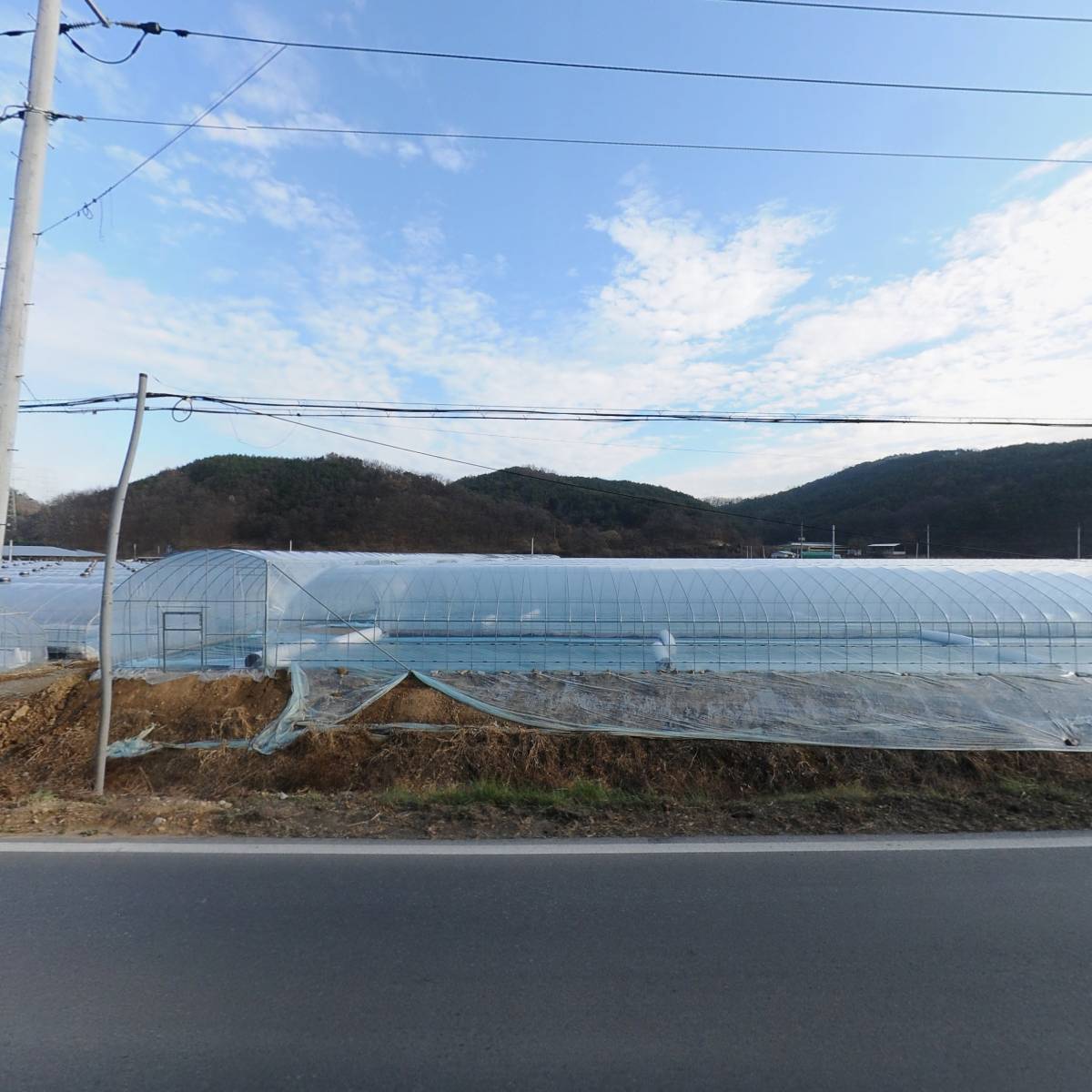 (주)동양페시마_3