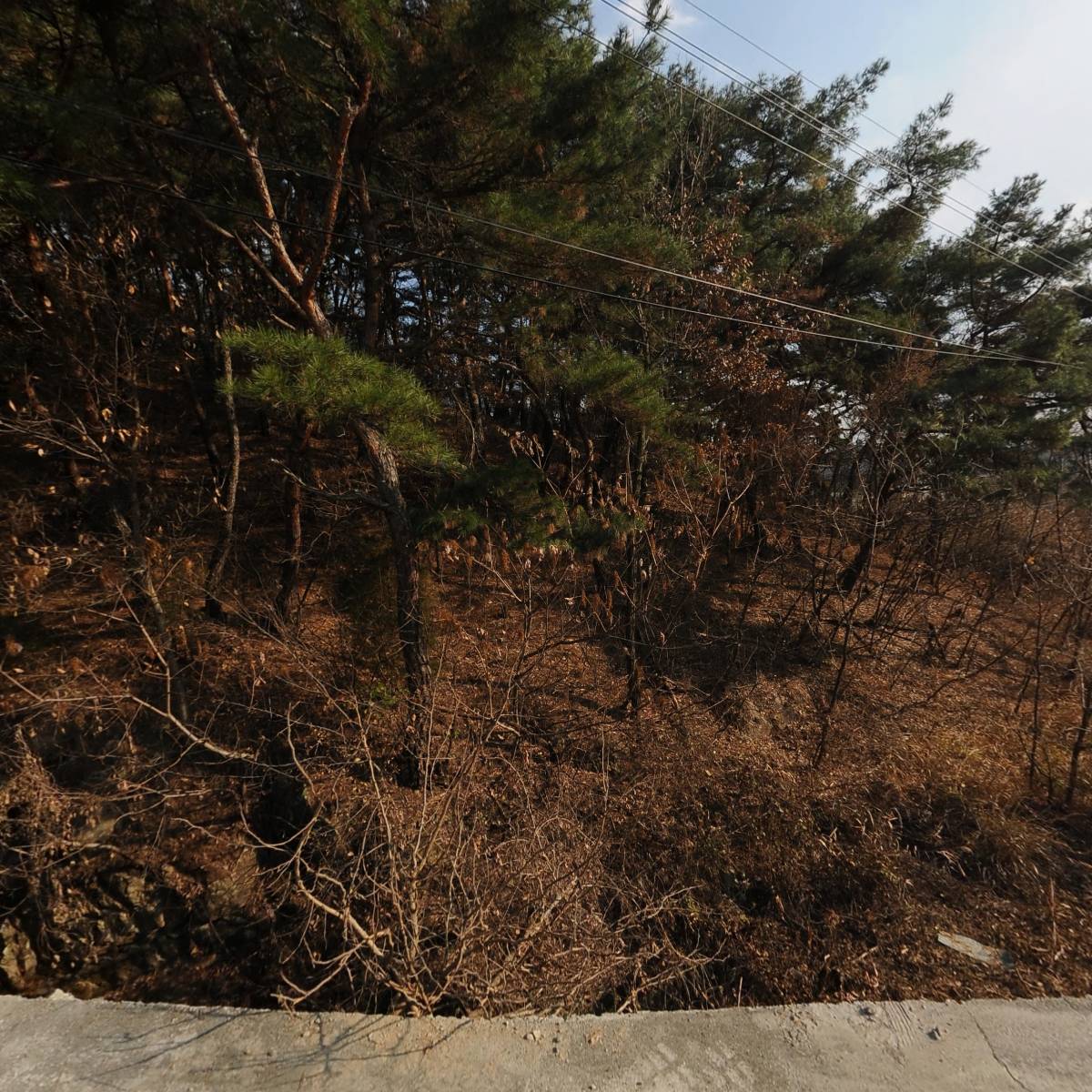 서진튜브