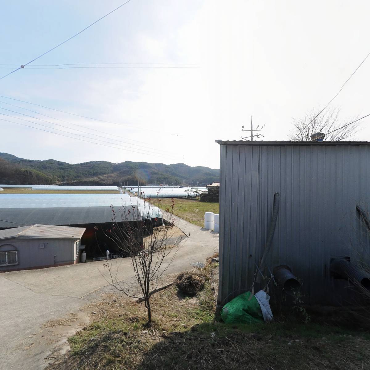 대산농산