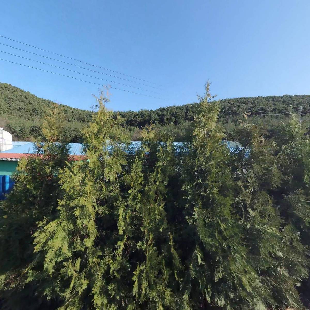 하슬라농장_3