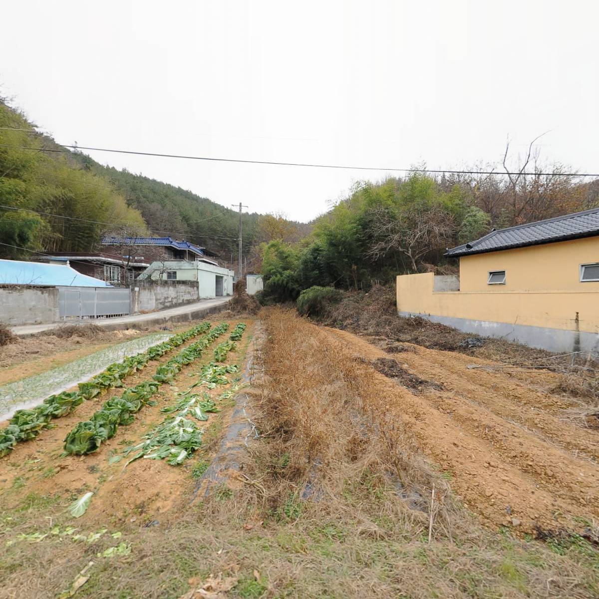 주식회사하늘그린_3