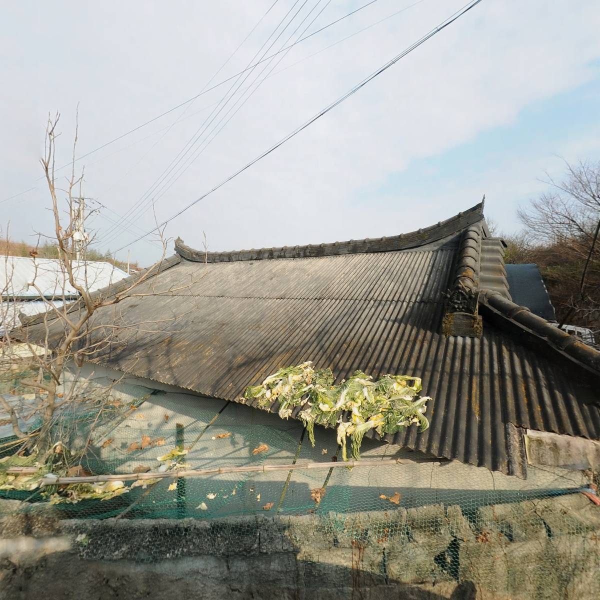 진양호 엔터테인먼트_3
