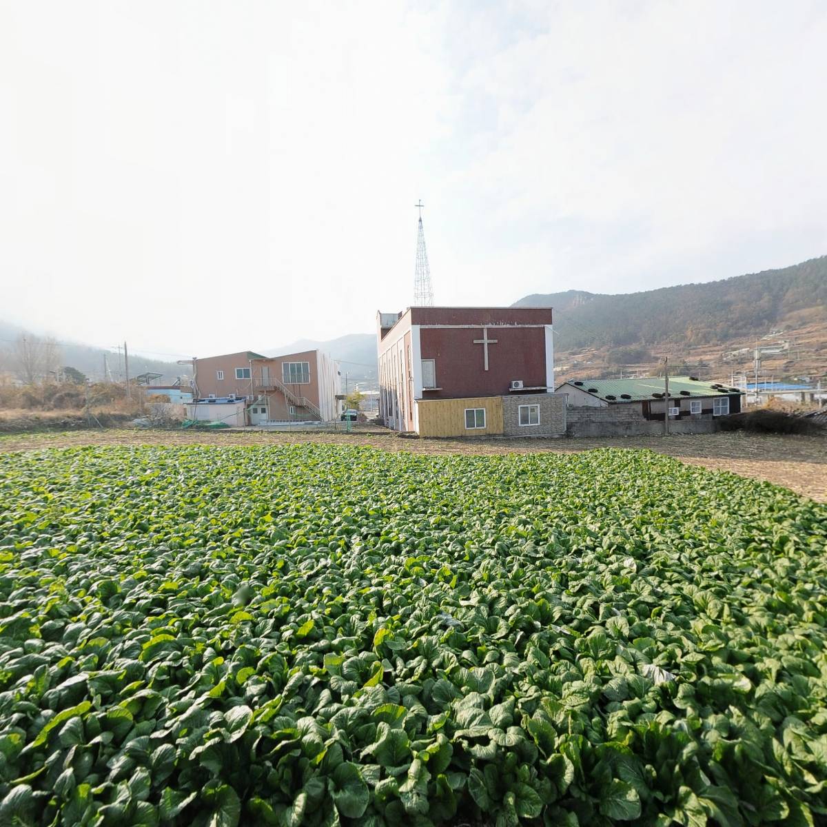 애농공동체