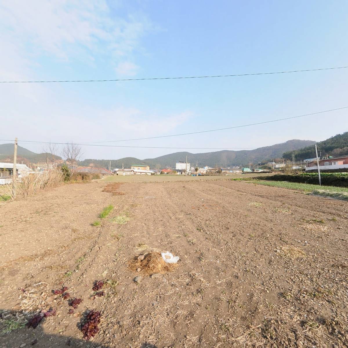 애농공동체_3