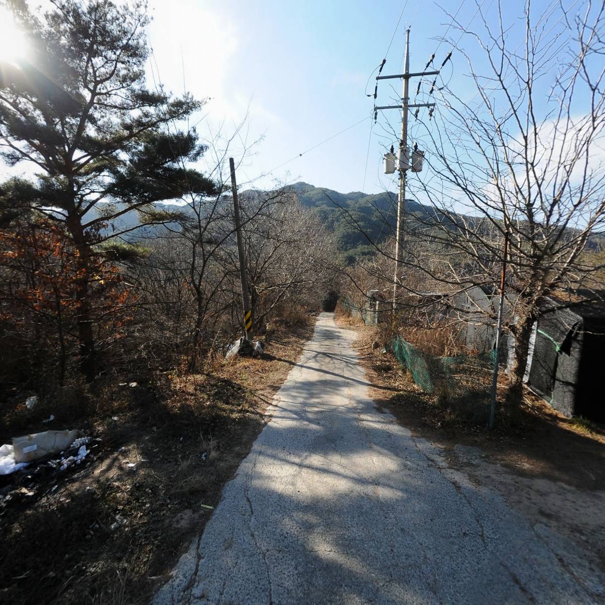 정강죽염_2