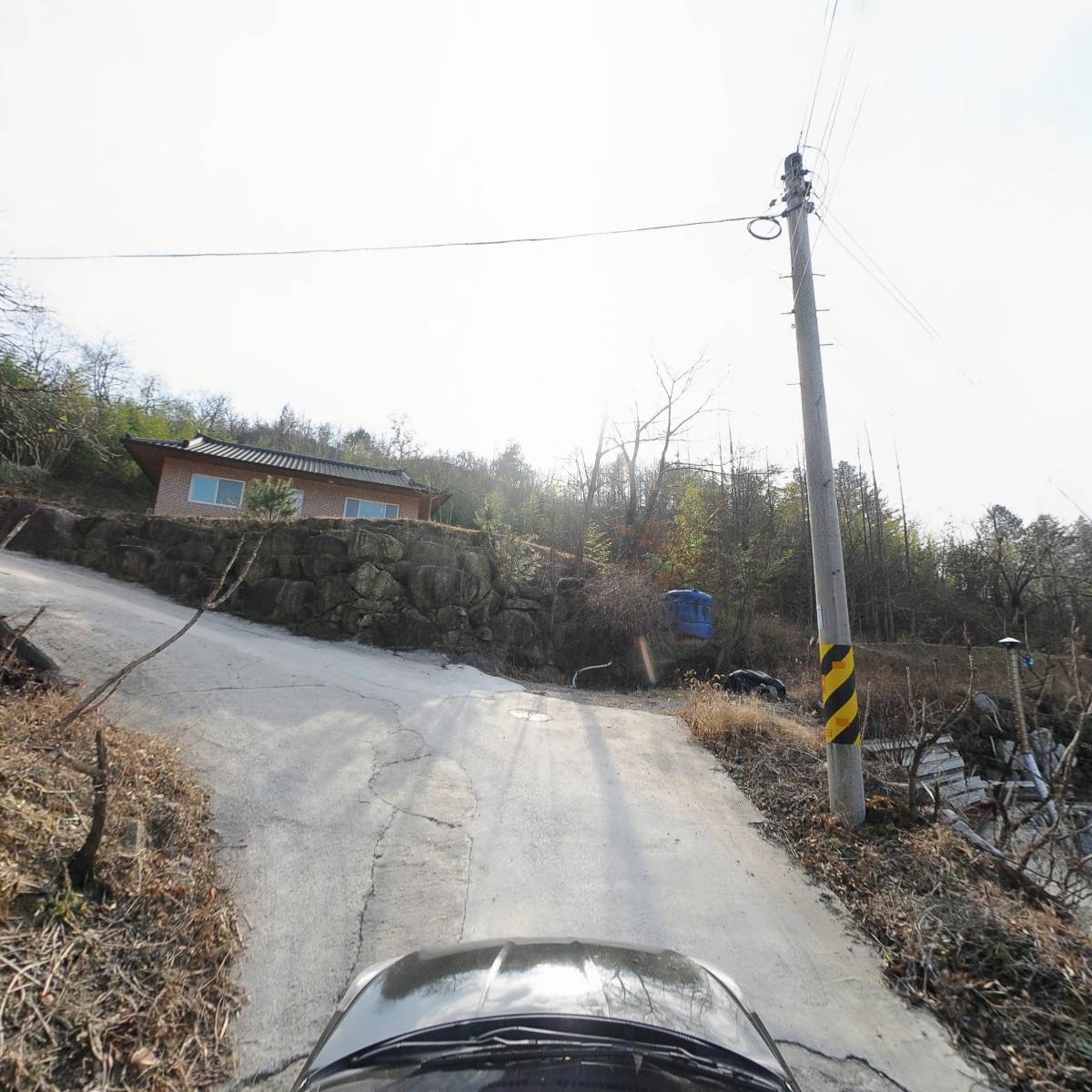 한국미륵불교 죽림사_4