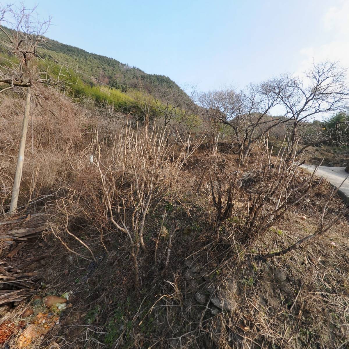 한국미륵불교 죽림사_3