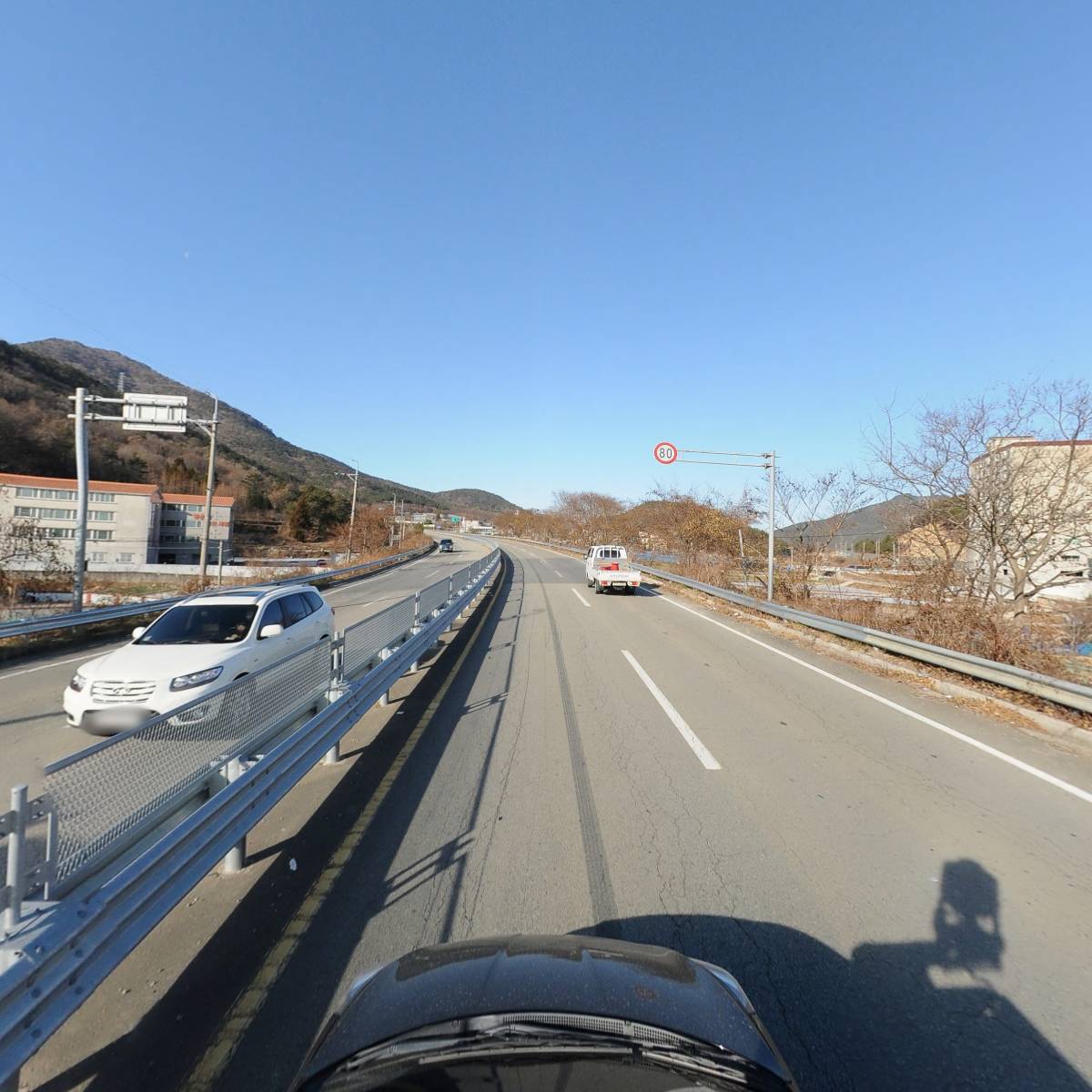 통영섬멸치_4